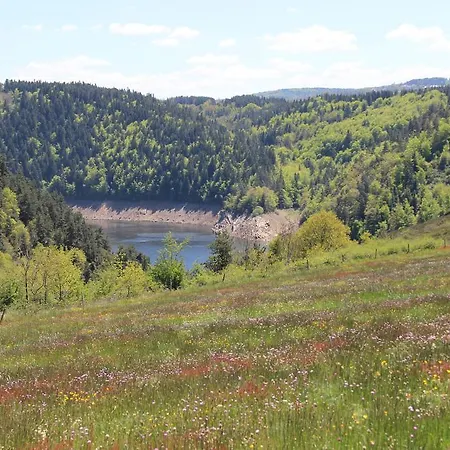 Otel Restaurant Logis La Meridienne Anglards de Saint Flour